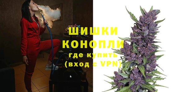 твердый Бородино