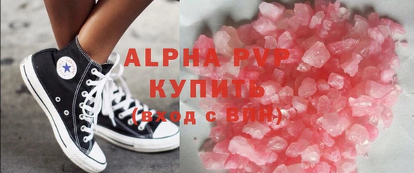 твердый Бородино