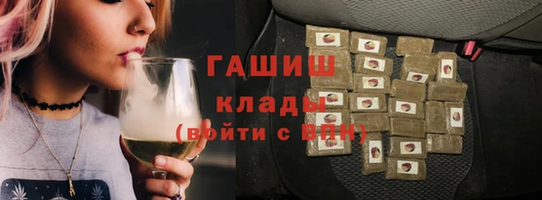 твердый Бородино