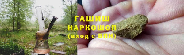 твердый Бородино