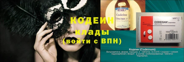 твердый Бородино