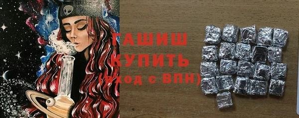 твердый Бородино