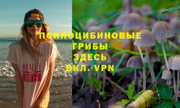 шишки Бугульма