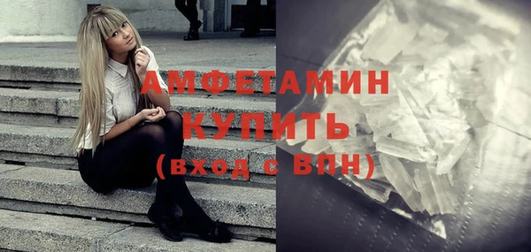 твердый Бородино