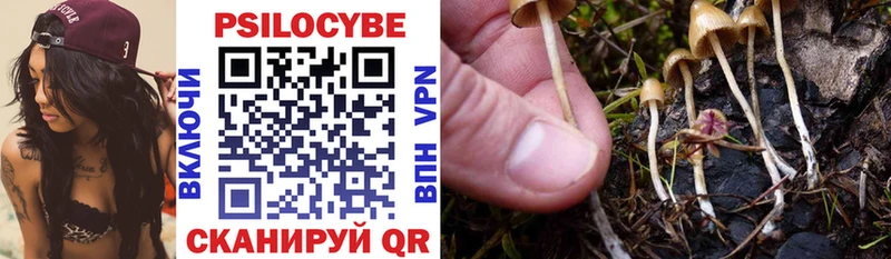 Псилоцибиновые грибы Cubensis  дарк нет формула  Михайловка 